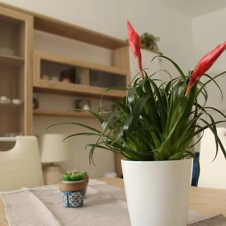 Ohana: Casa Nel Centro Di Prázdninový dům Lecce